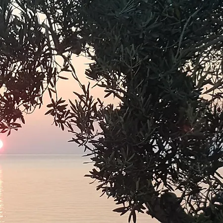 Lejlighed Talija